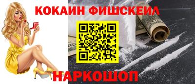 2c-b Кингисепп