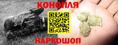 2c-b Кингисепп