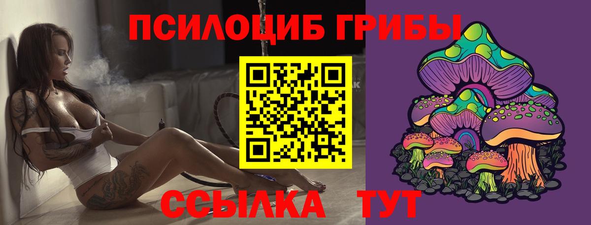 Псилоцибиновые грибы Psilocybe  Вход с VPN  Шелехов 